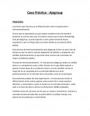 Caso Práctico : Ajegroup