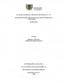 Diagnostico organizacional del espacio público y movilidad