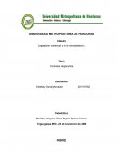 Legislación comercial y de la mercadotecnia. Contratos de garantía