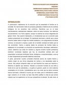 Estudio de la educación como antropogénesis