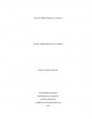 ENSAYO SOBRE MICHAEL FARADAY