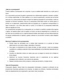 ¿Qué es un presupuesto?