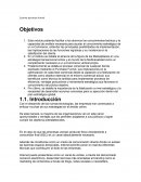 Ecorme purchase funnel