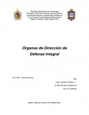Organos de Direciion de Defensa Integral
