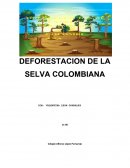 Cómo el consumismo excesivo está generando la deforestación de la selva colombiana