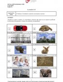 NIVELACIÓN DE REDACCIÓN La oración I y II