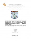 CASO: Unidad de producción “Mata e Mamon” ubicada en la parroquia Torunos sector