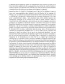 ANÁLISIS DE IDENTIDAD SOCIAL