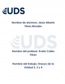 Ensayo Computación I