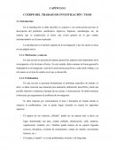 CUERPO DEL TRABAJO DE INVESTIGACIÓN / TESIS