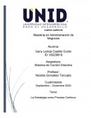 Sistema de Control Directivo