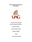 Practica laboratorio Las Reacciones febriles