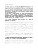 Caso Manville en Japón