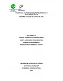 INFORME ANÁLISIS DEL CICLO DE VIDA