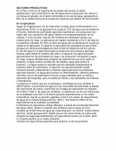 SECTORES PRODUCTIVOS