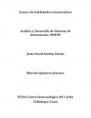 Ensayo de habilidades comunicativas