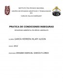 PRATICA DE CONDICIONES INSEGURAS SEGURIDAD AMBIENTAL EN ÁREAS LABORALES