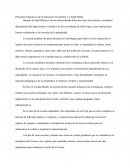 Principios Educativos de la Educación Occidental: La Edad Media