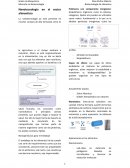 Nanotecnologia en el sector de la alimentacion