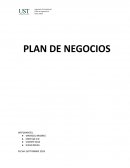 Plan de negocios. Lograr recaudar aproximadamente $200.000