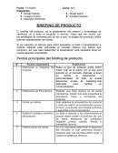 BRIEFING DE PRODUCTO