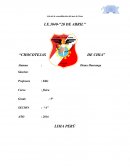 Proyecto: Choco tejas de chía - Promoción de una alimentación saludable y energética