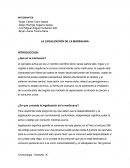 Legalización de la marihuana en el Peu