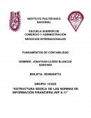 Estructura básica de las normas de información financiera