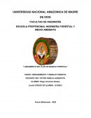 Lineamiento del plan de manejo forestal