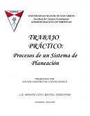 TRABAJO PRÁCTICO: Procesos de un Sistema de Planeación