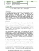 LAS TIC PROTAGONISTA DE LA SOCIEDAD