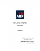 Actividad practica semana 4 estructura organizacional
