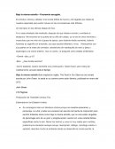 Bajo la misma estrella- critica