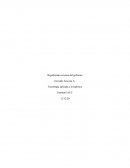 Tarea 2 Tecnología Aplicada a la logística