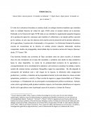 Fisocracia