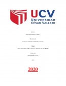 ANALISIS ESTRUCTURAL CON EL SISTEMA DE MATRICES