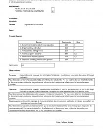 PRÁCTICA PROFESIONAL CONTROLADA. Página 1