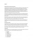 Segmentación de mercado para Rosa Pastel