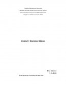 Organizacional estadistica