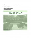 Pequeño ensayo paisajismo