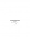 Tarea semana 1 Estrategias comunicacionales IACC