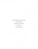 FUNDAMENTOS DE AUDITORIA CONTROL SEMANA 4