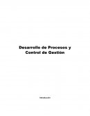Desarrollo de Procesos y Control de Gestión