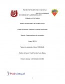 Comportamiento del consumidor. Enfoque cultural, manejo de subculturas y la importancia de las generaciones desarrolladas