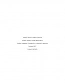 Formulación y evaluación de proyectos