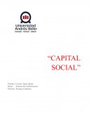 Capital social
