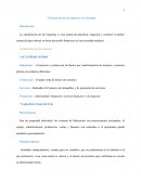 Clasificación de las empresas en el Ecuador