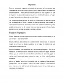 Migracion.Tipos de migración