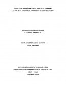 Mapa Conceptual "Principios de las BPA"