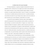 La Política dentro del Consejo de Seguridad